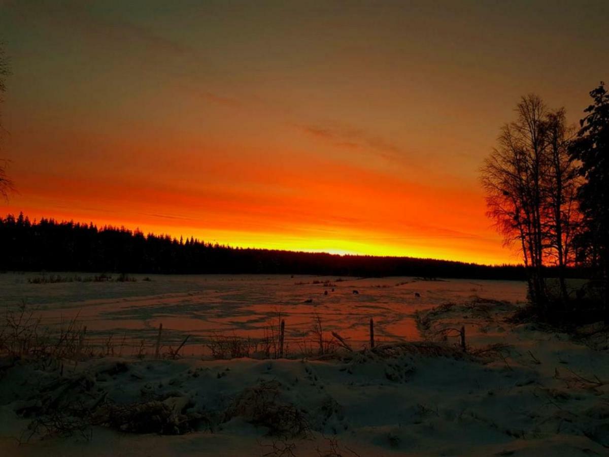 Miekojaervi Resort Пелло Экстерьер фото